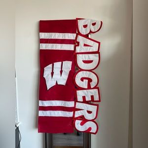 Wisconsin Badger Flag